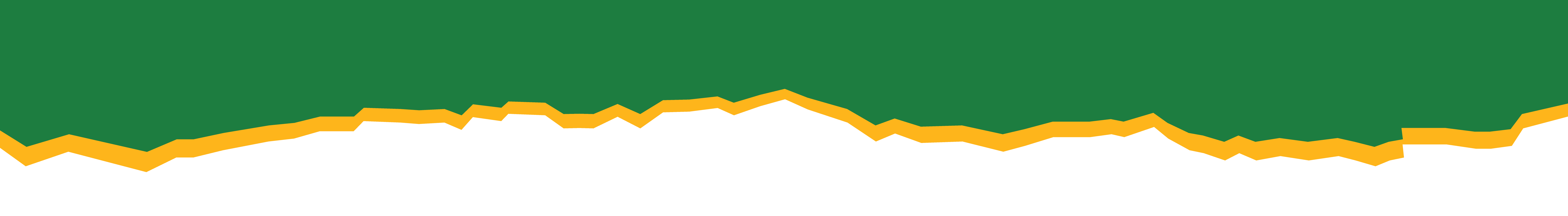 Zagged Line